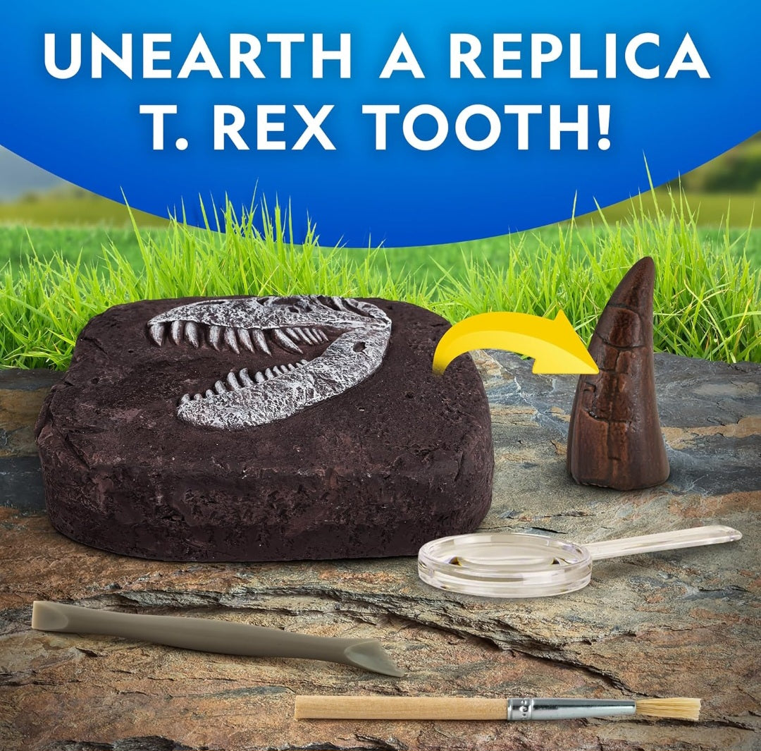 Dinosaur Study Kit