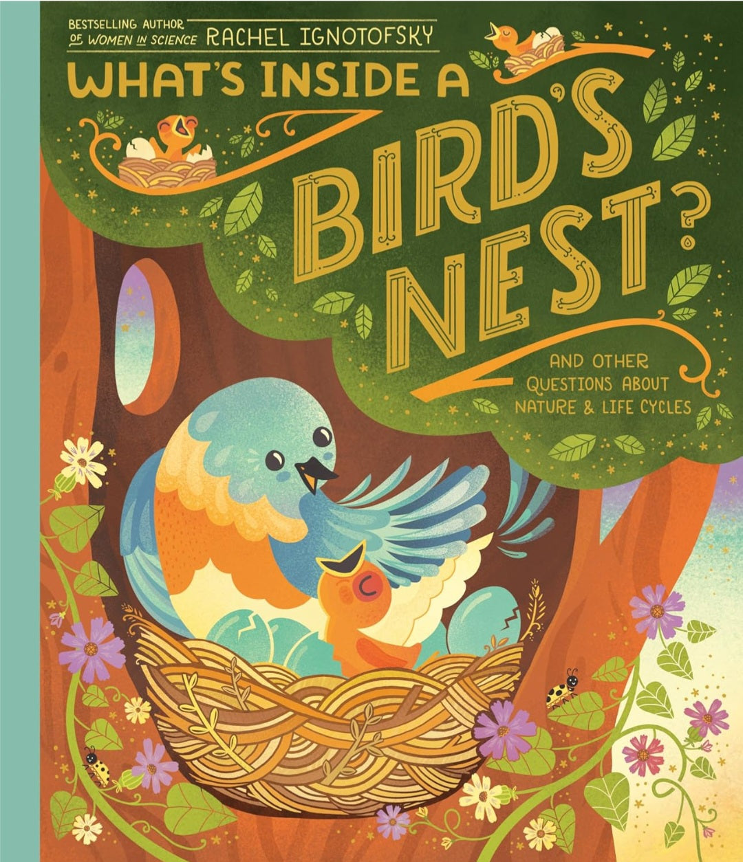 What's Inside? Nature & Life Cycles Book Bundle | 3 Illustrated Science Books by Rachel Ignotofsky|Paperback or Hardcover