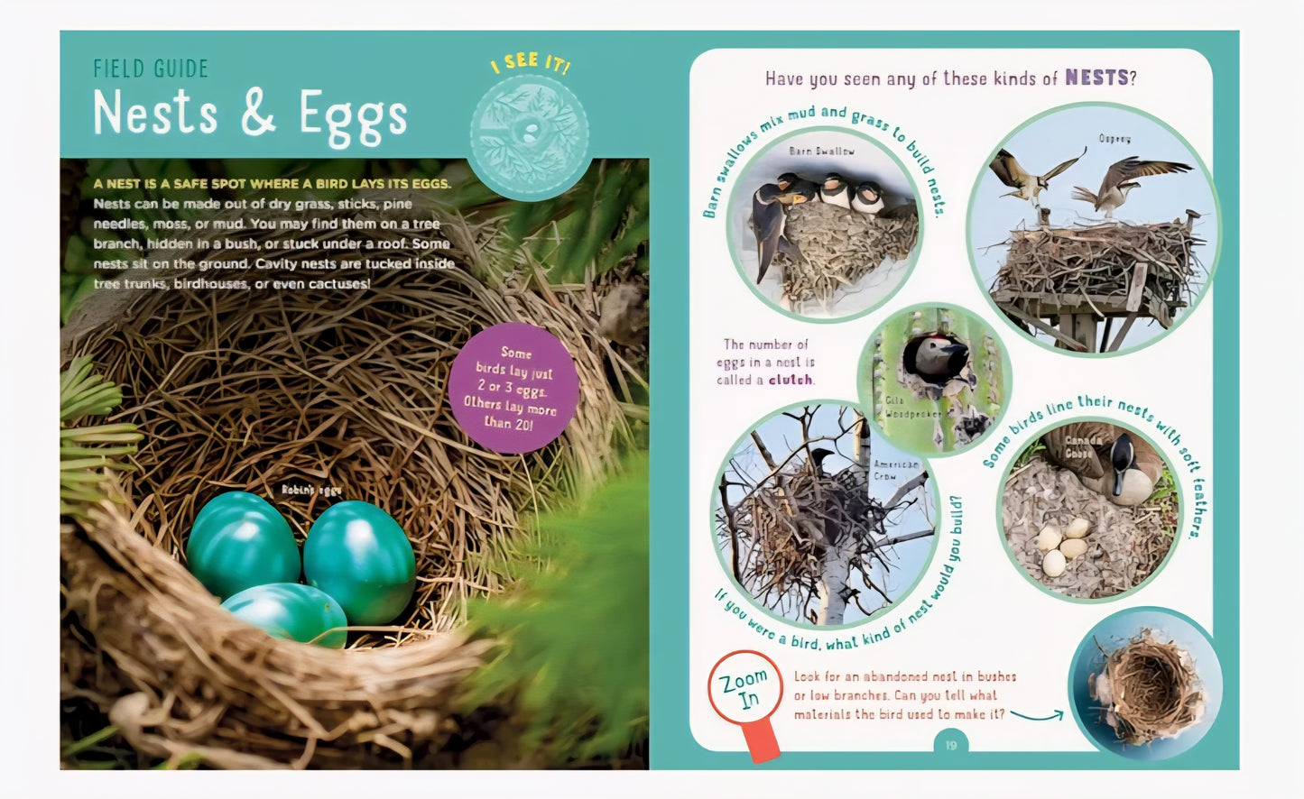 Backyard Bird Book Bundle