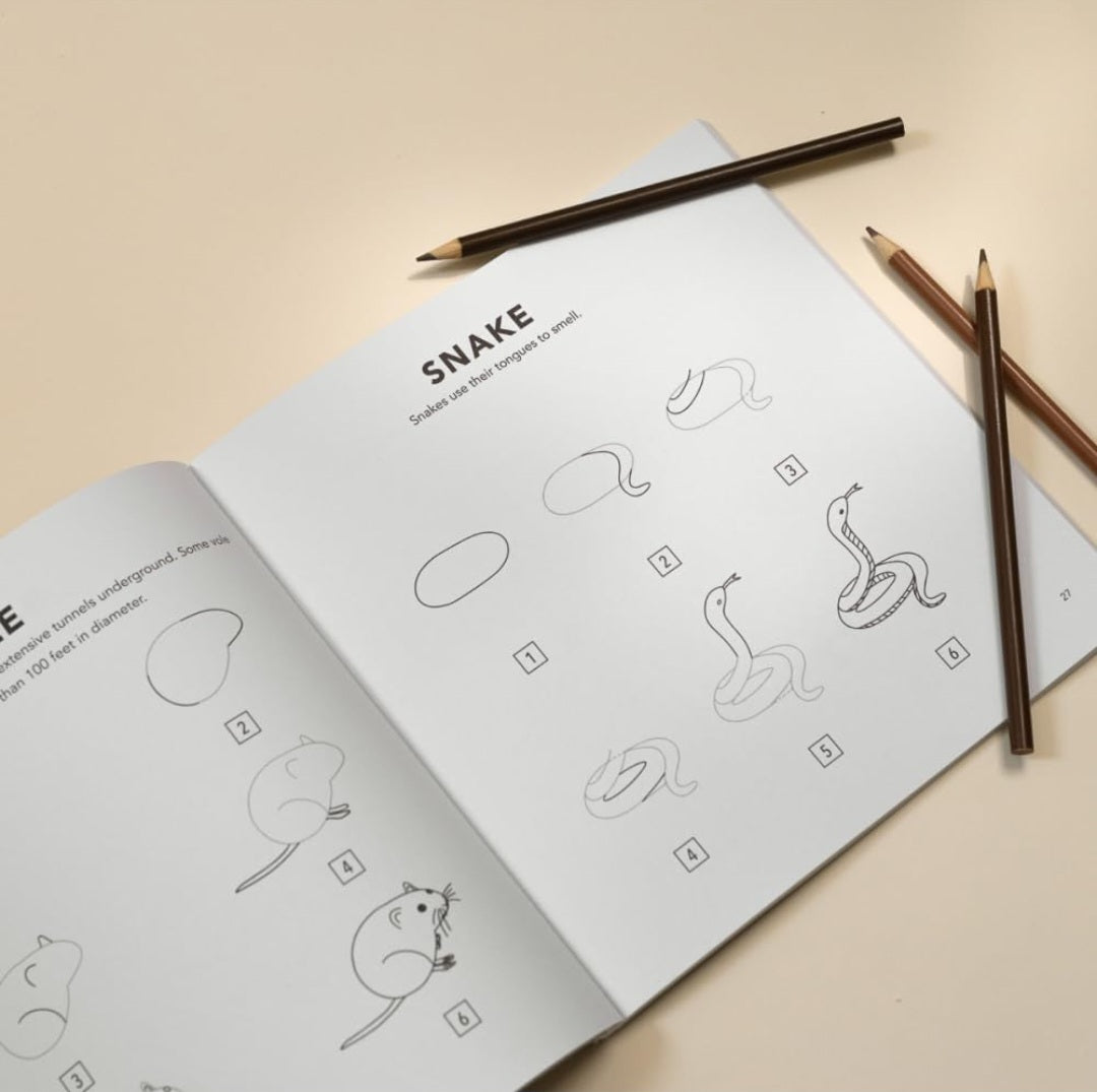 How To Draw Woodland Creatures Activity Book