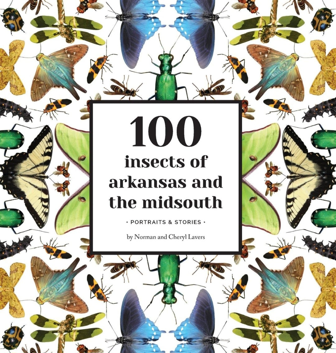 100 Insects of Arkansas and the Midsouth: Portraits & Stories