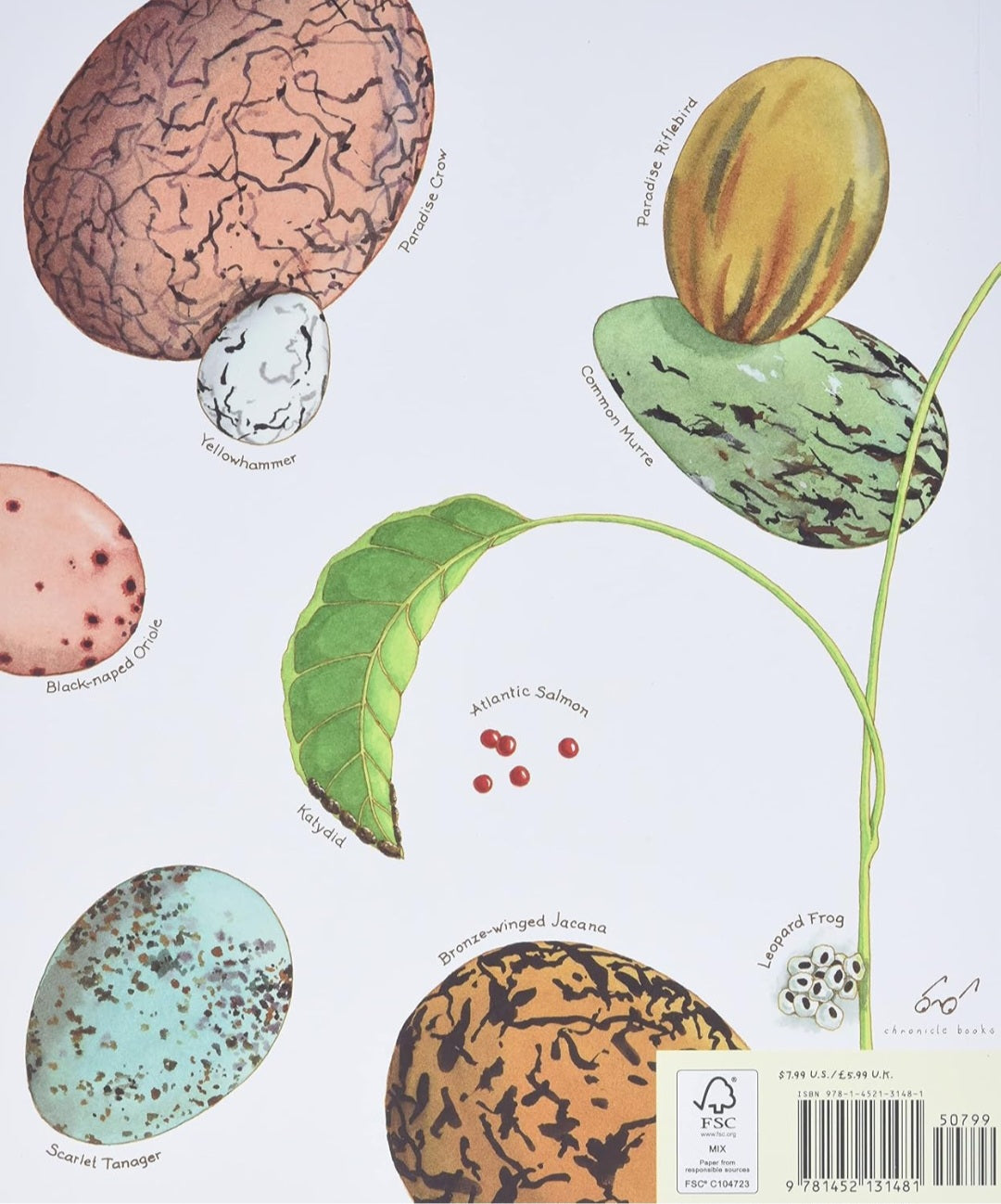 Nature’s Wonders Book Collection | 7 Illustrated Books on Seeds, Insects, Birds, Rocks & Natural Life Cycles
