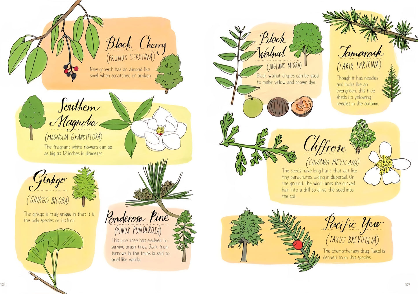 Nature Anatomy: The Curious Parts & Pieces Of The Natural World