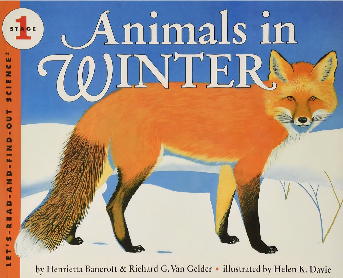 Winter Book Bundle| 6-Book Collection