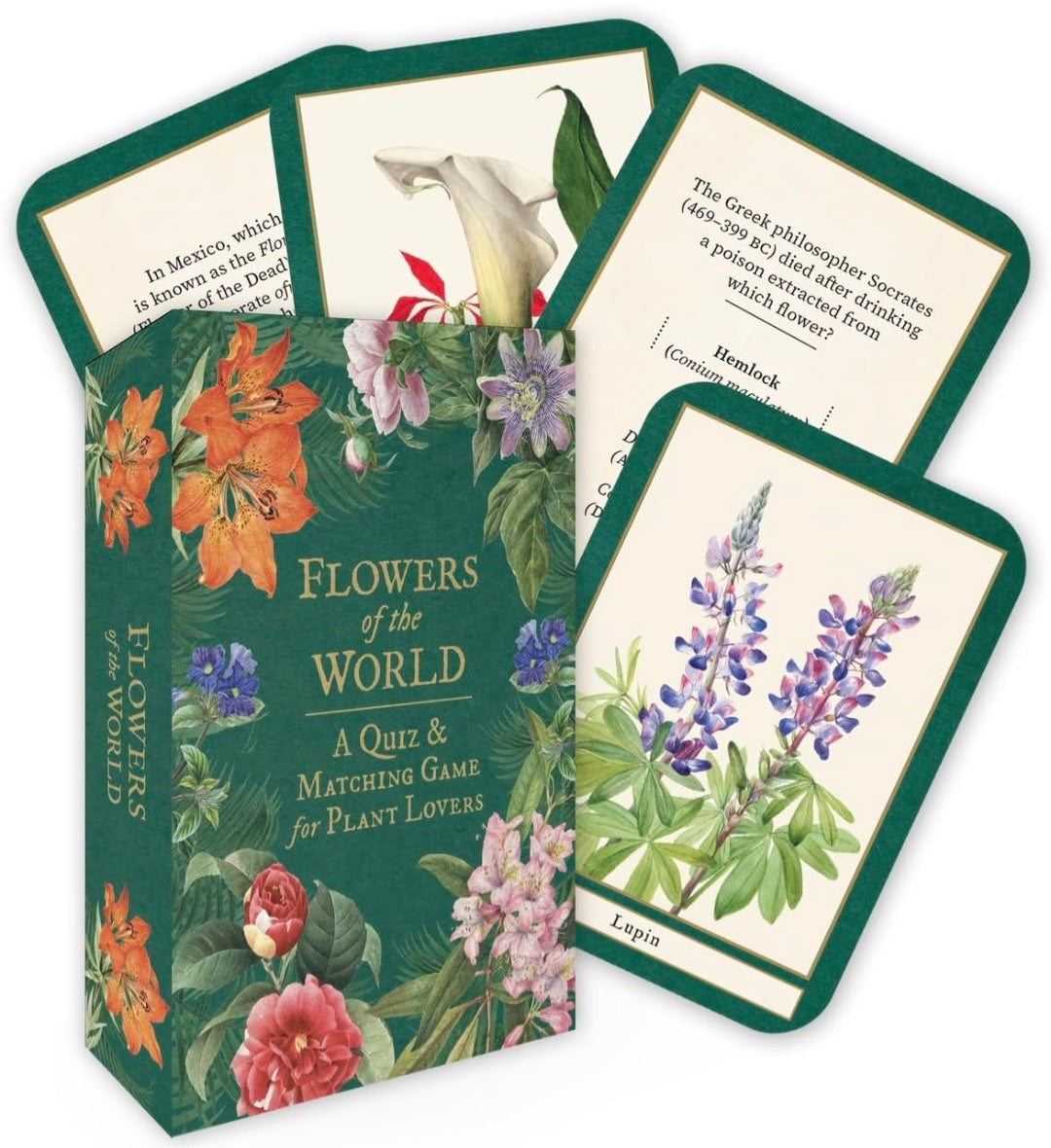 Flowers of the World: A Trivia & Matching Game