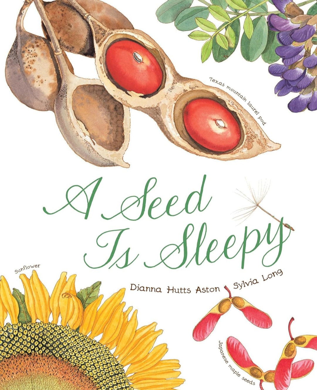 Nature’s Wonders Book Collection | 7 Illustrated Books on Seeds, Insects, Birds, Rocks & Natural Life Cycles