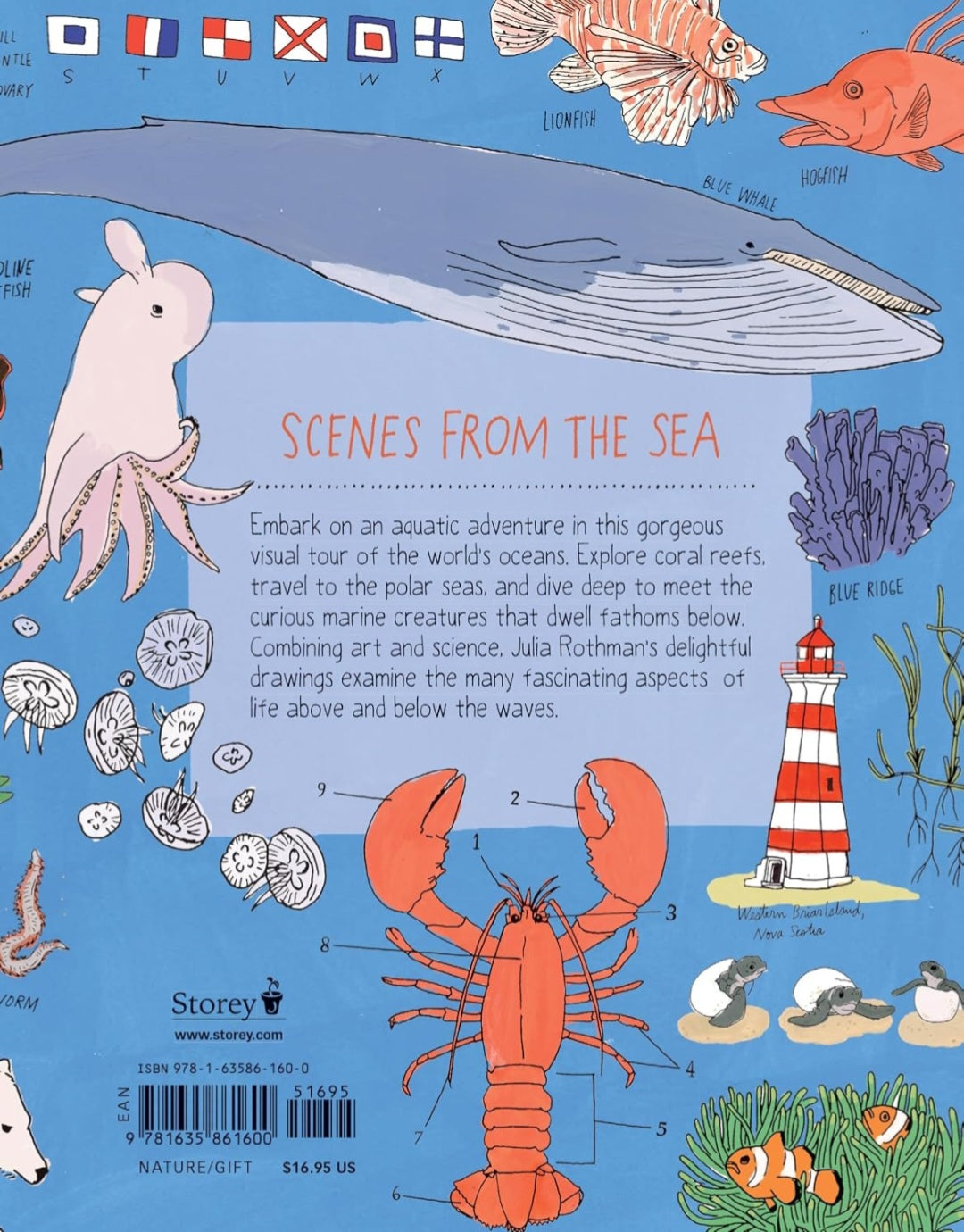 Ocean Anatomy: The Curious Parts & Pieces of the World under the Sea