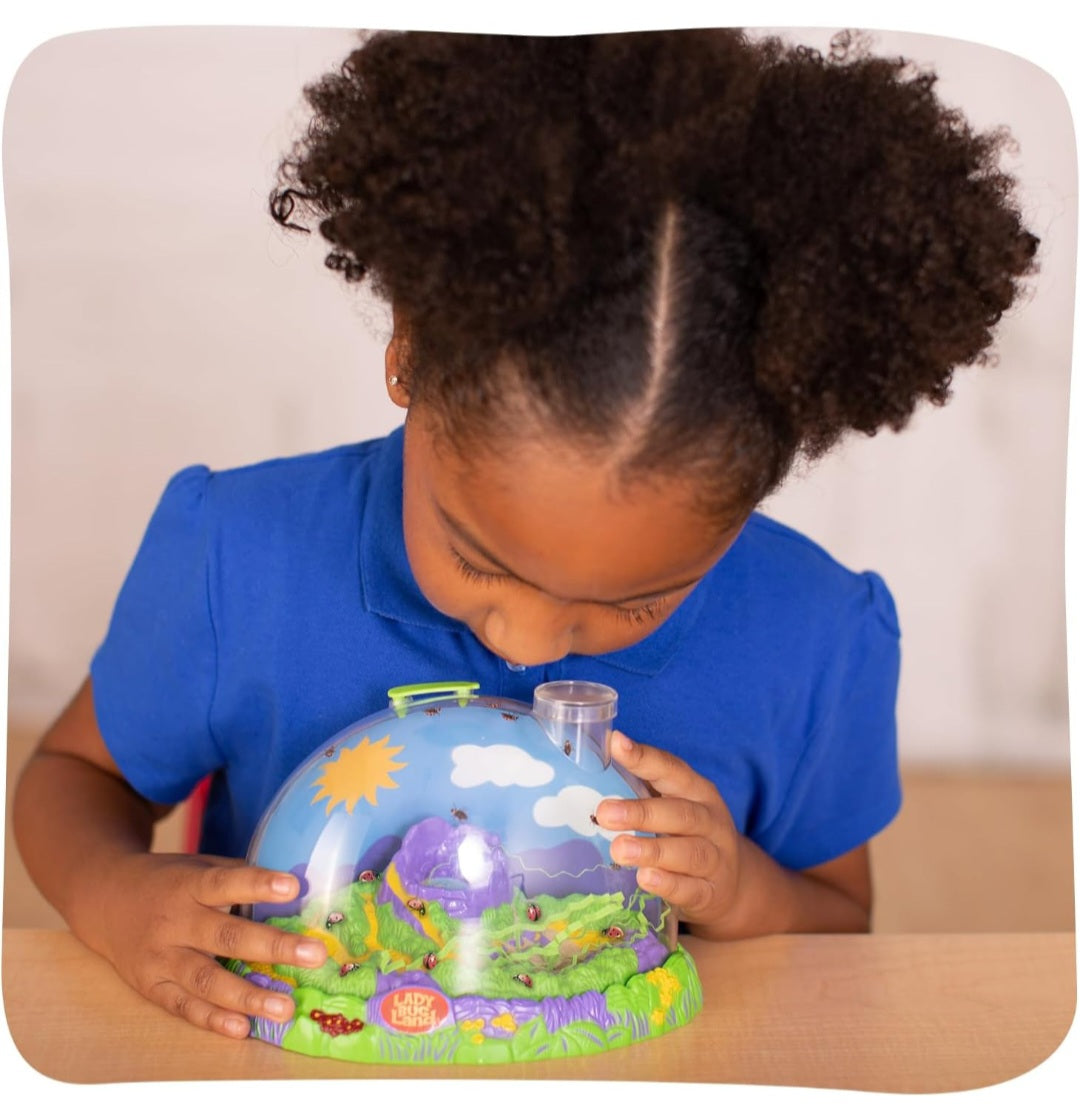 Insect Lore Ladybug Habitat With LIVE Ladybugs Project