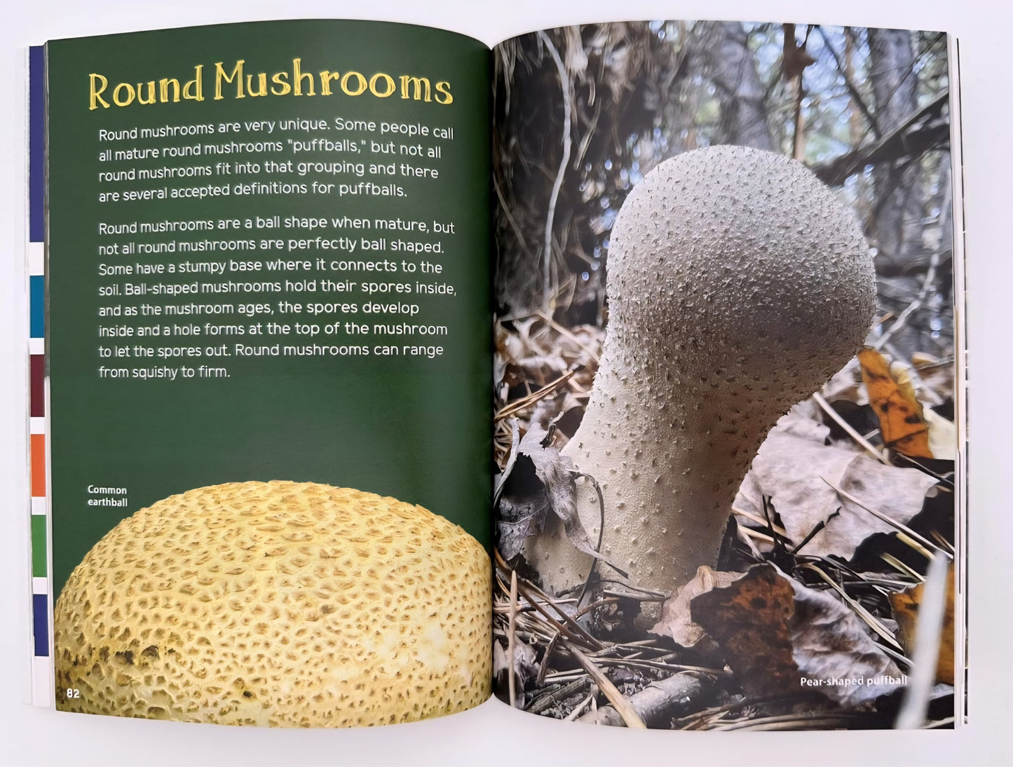 Mushrooms & Fungi Book Bundle