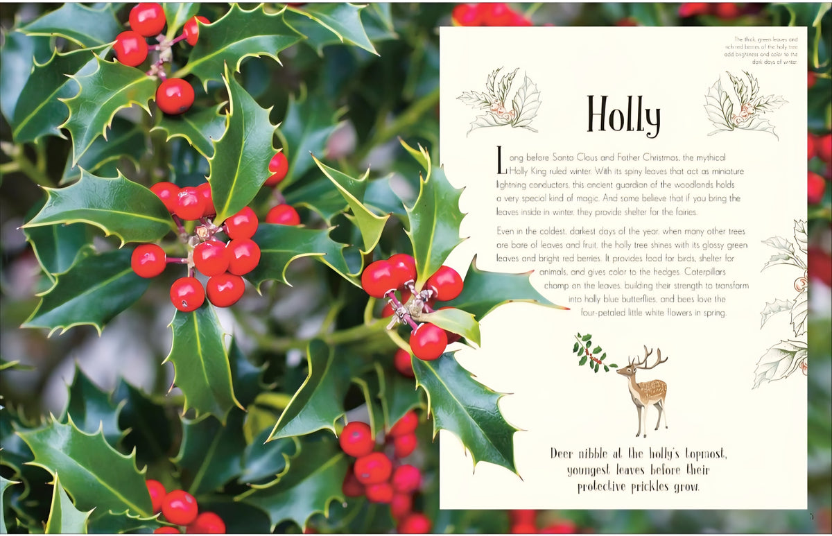 An Anthology of Christmas (DK Children's Anthologies)