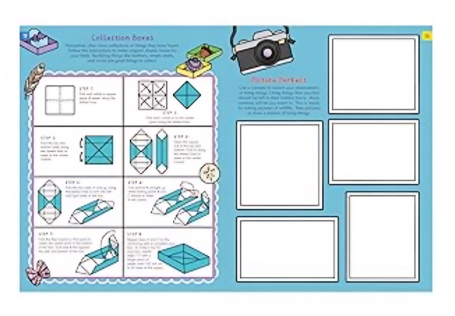 Nature Explorer's Activity Book