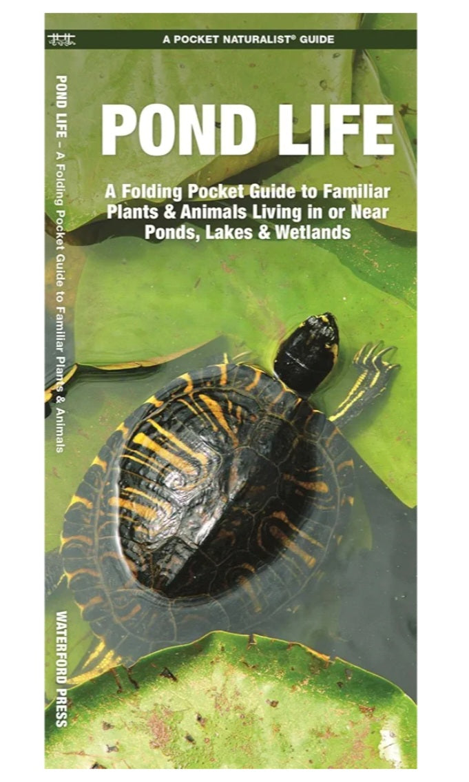 Pond Study Kit