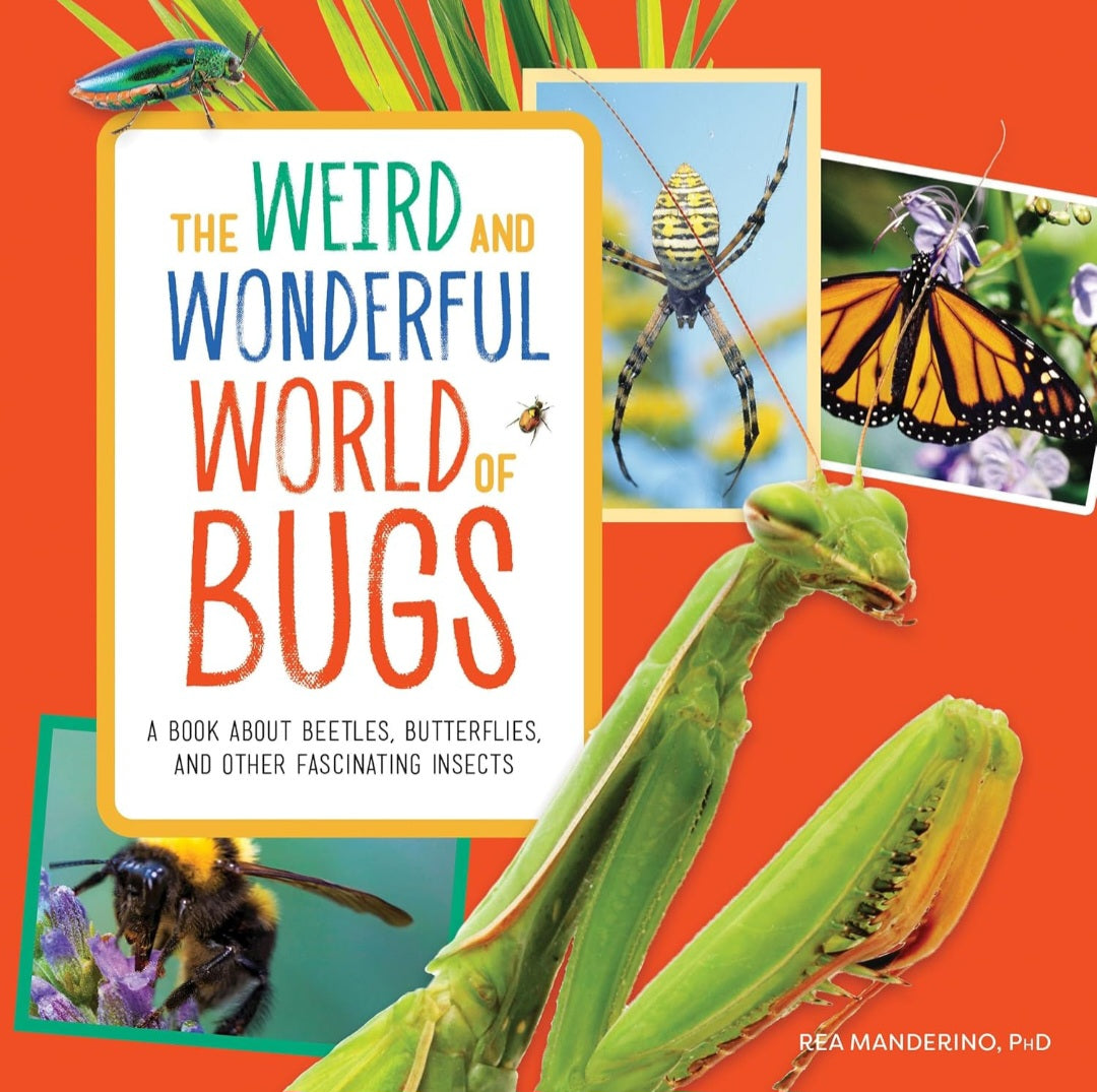Insects and Bugs Book Bundle