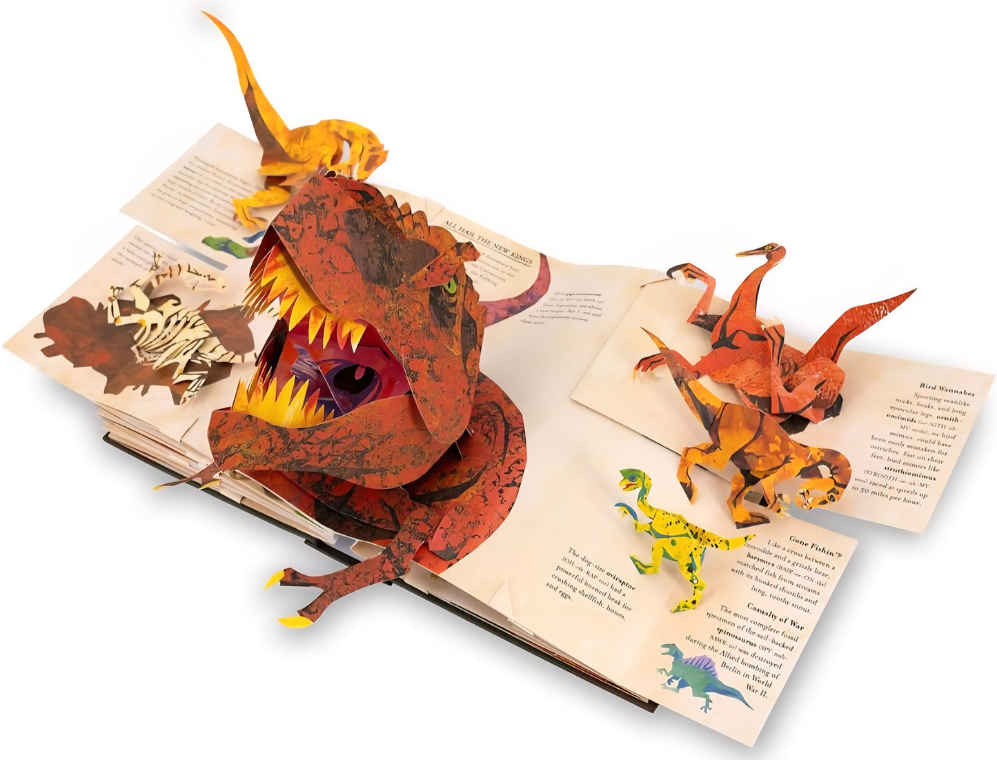 Dinosaur Study Kit