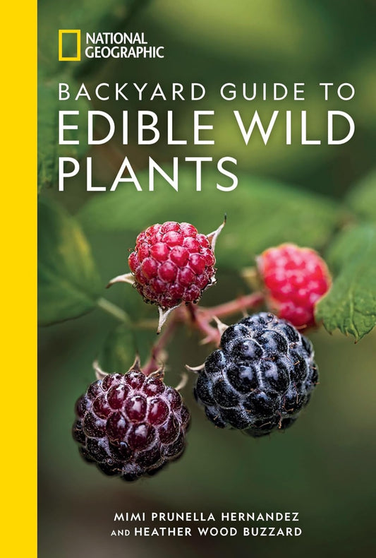 National Geographic Backyard Guide To Edible Wild Plants