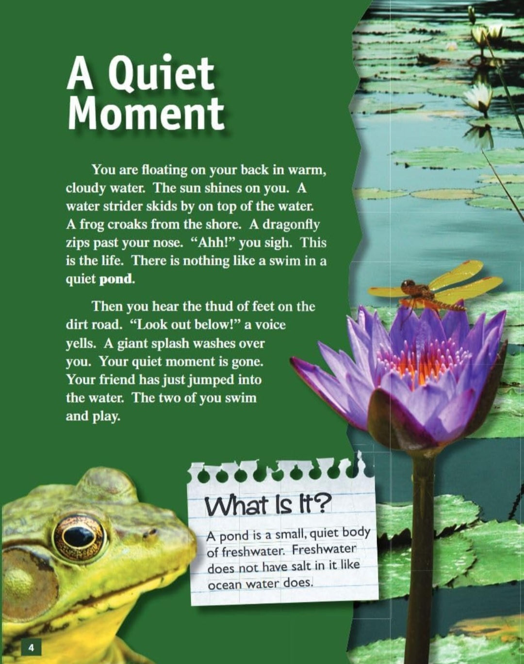 Pond Study Kit