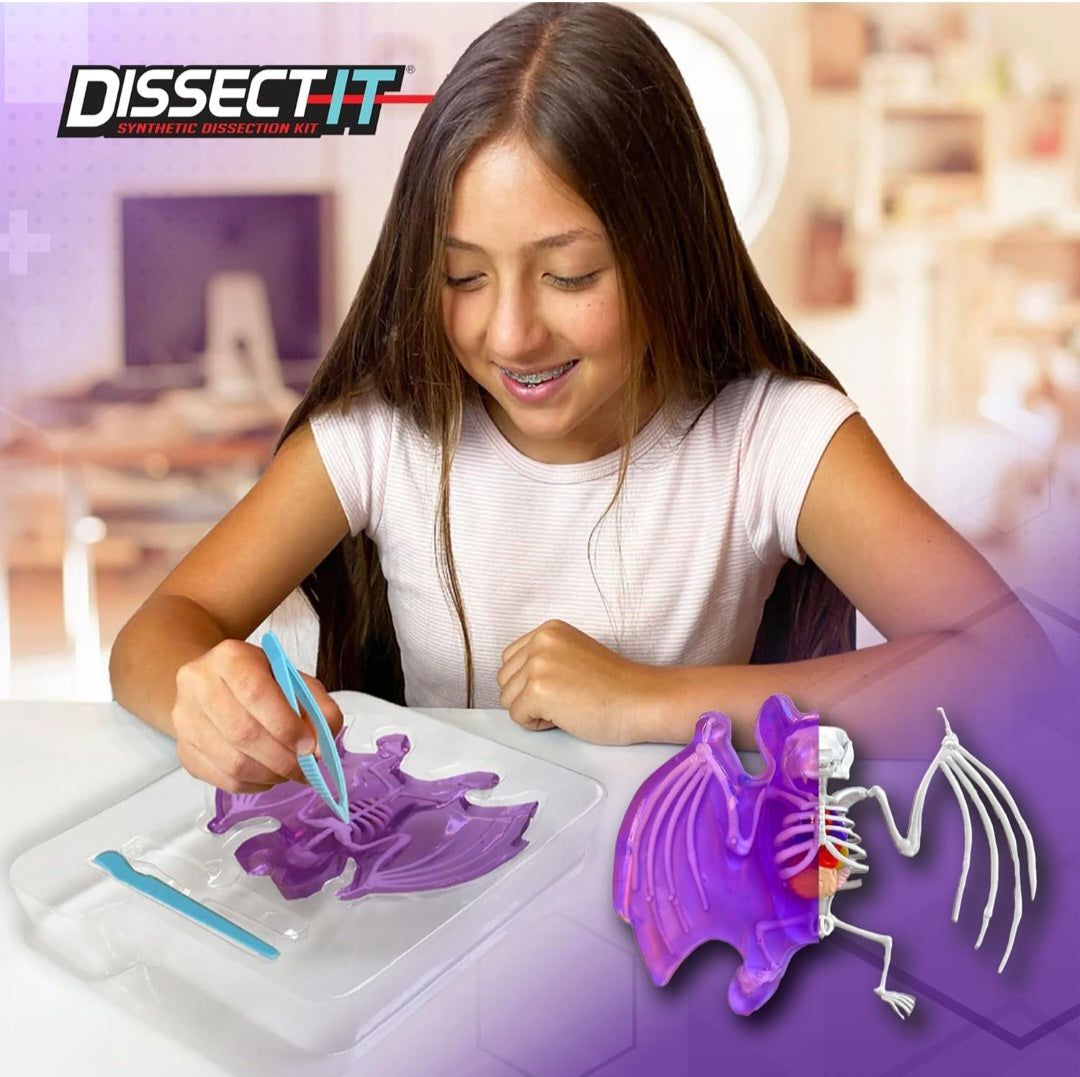 All Things Bats Study Kit