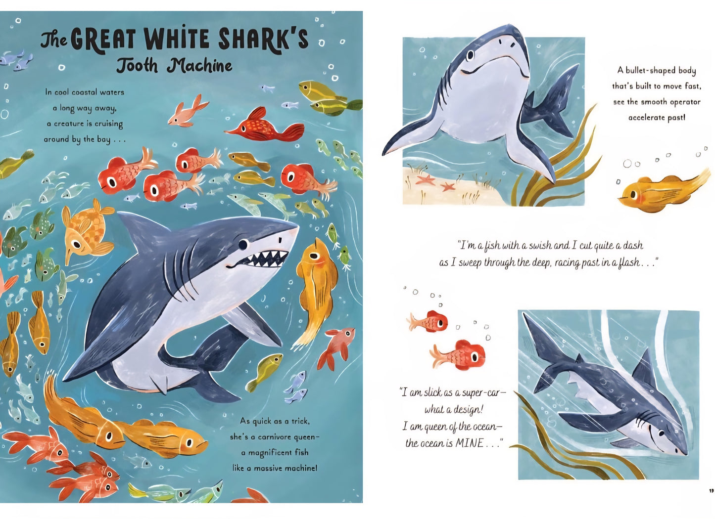 Ocean Life Book Bundle
