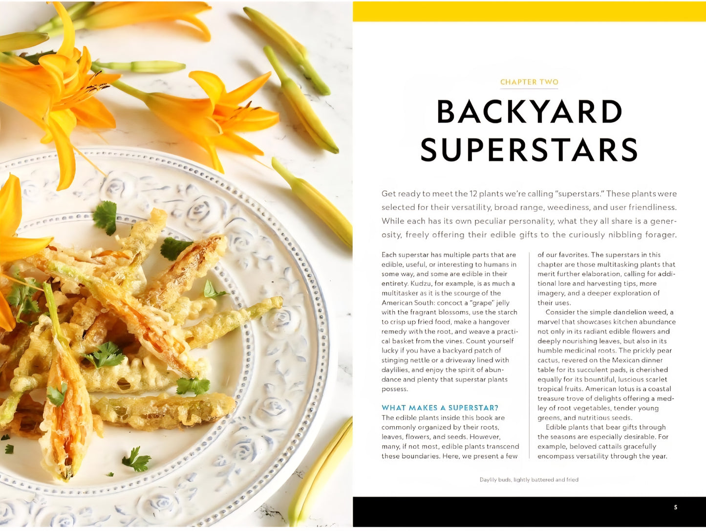 National Geographic Backyard Guide To Edible Wild Plants