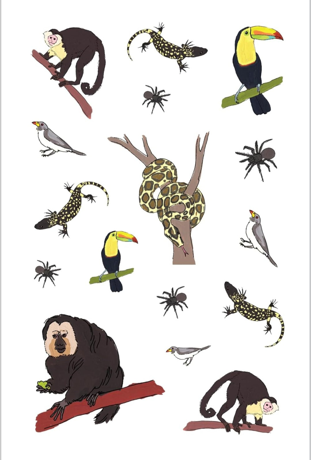 Wildlife Anatomy Sticker Book: A Julia Rothman Creation: More than 500 Stickers
