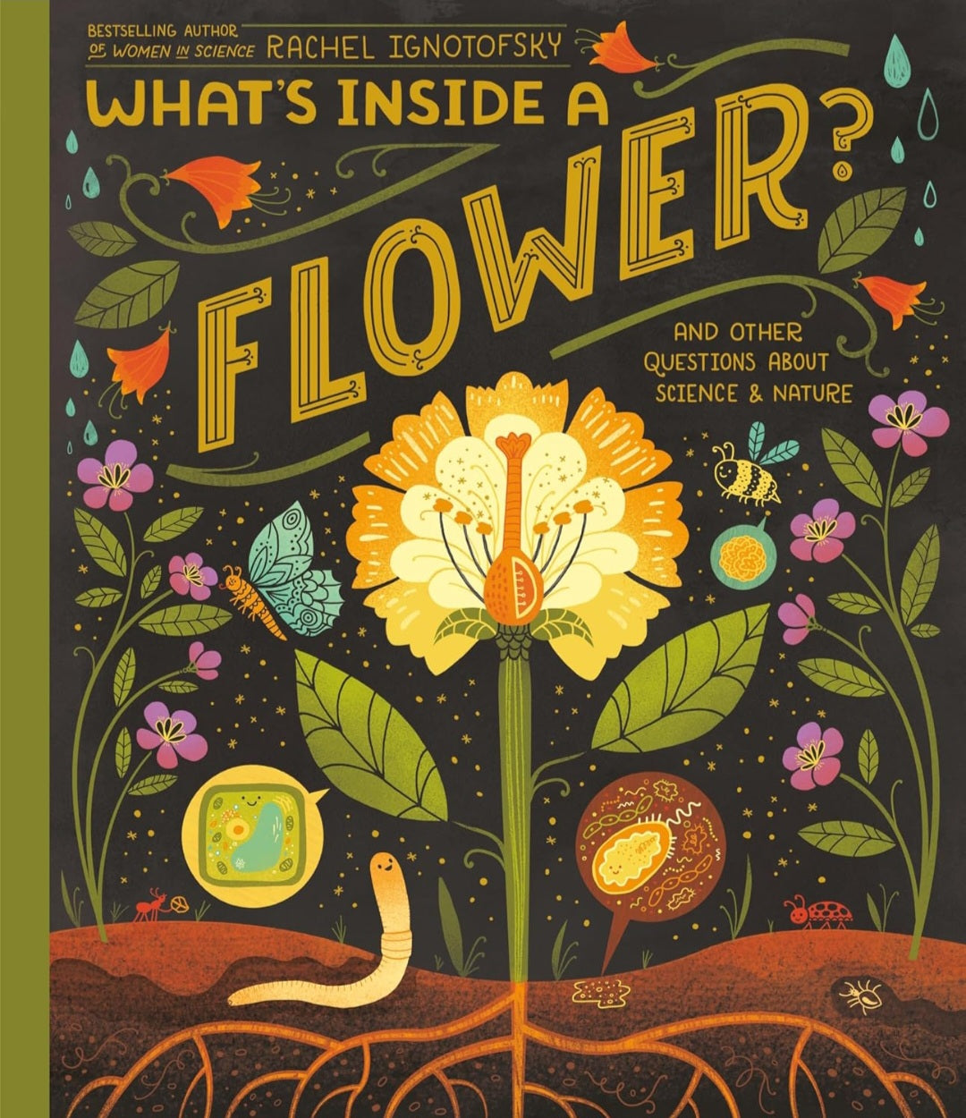 What's Inside? Nature & Life Cycles Book Bundle | 3 Illustrated Science Books by Rachel Ignotofsky|Paperback or Hardcover