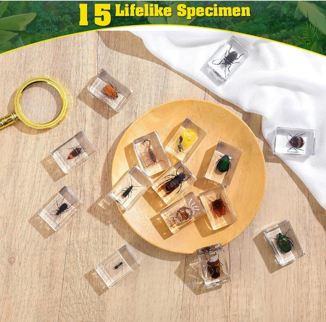 15 Piece Insect Specimens in Resin