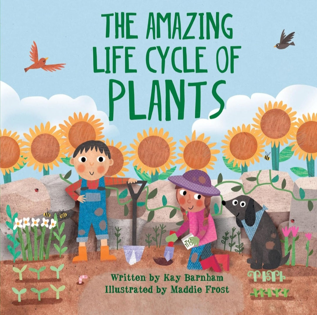 Life Cycles Book Bundle