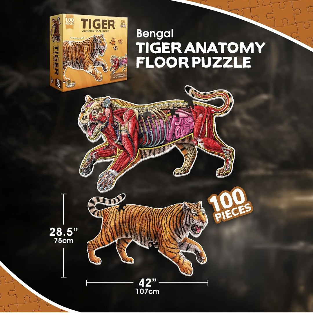 Tiger Animal Anatomy Floor Puzzle| 100-Piece Double-Sided Puzzle