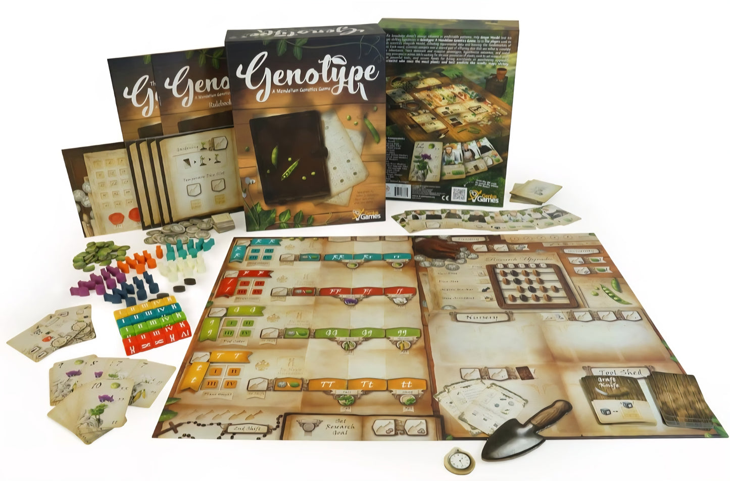 Genotype Board Game