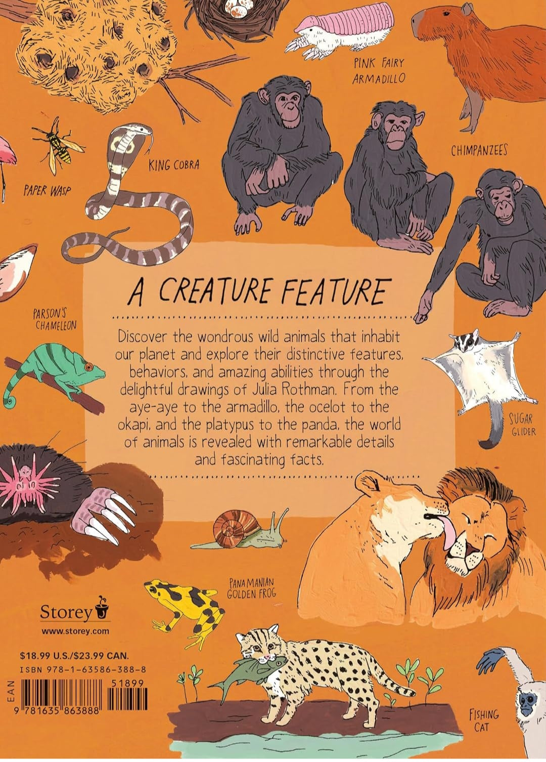 Wildlife Anatomy: The Curious Lives & Features of Wild Animals around the World