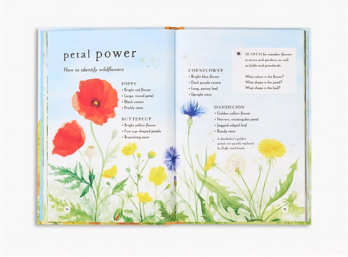 A Field Guide to the Seasons Book Bundle | 4 Hardcover Nature Study Books | Spring, Summer, Autumn & Winter