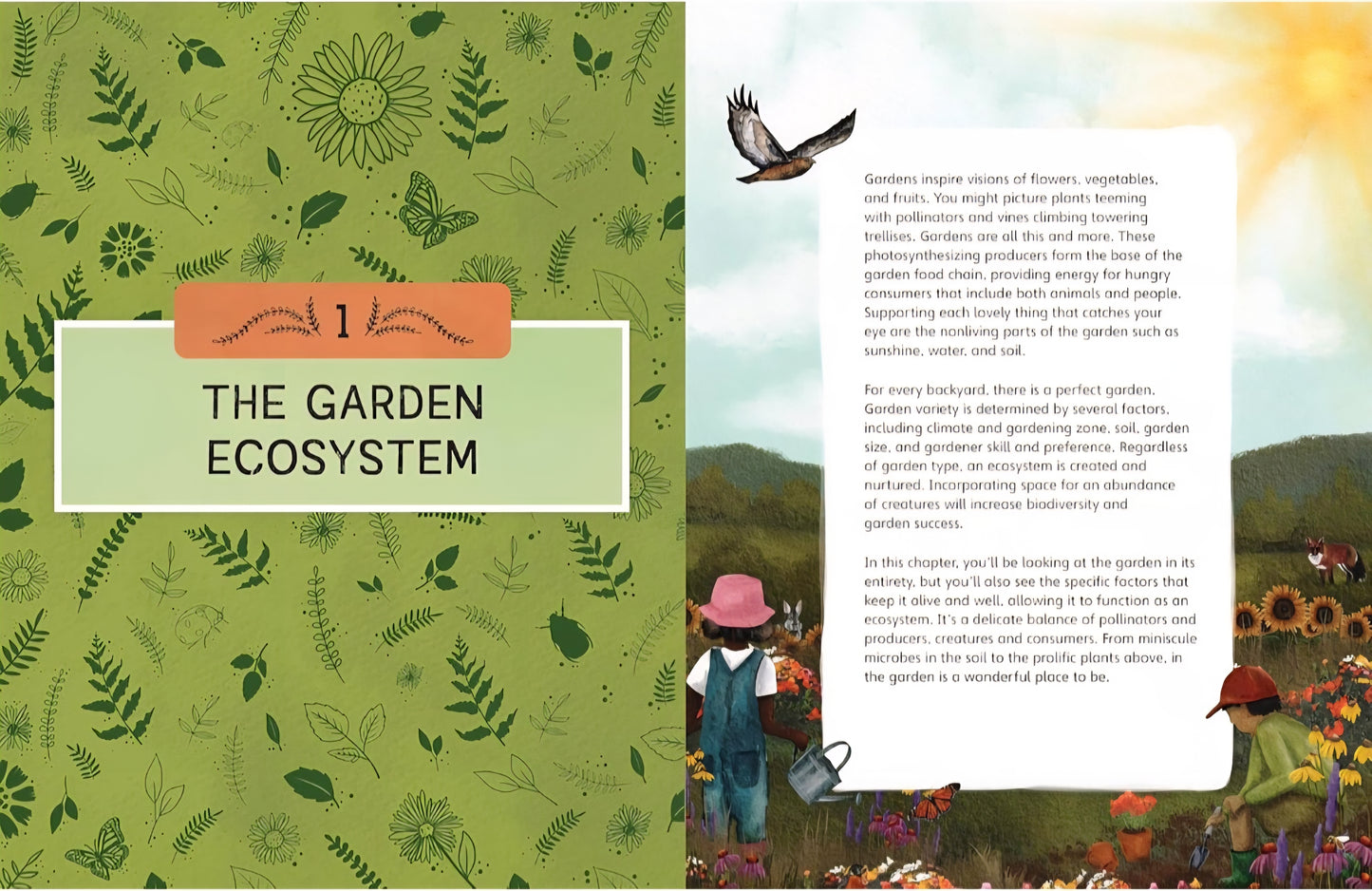 Nature Scool: In the Garden