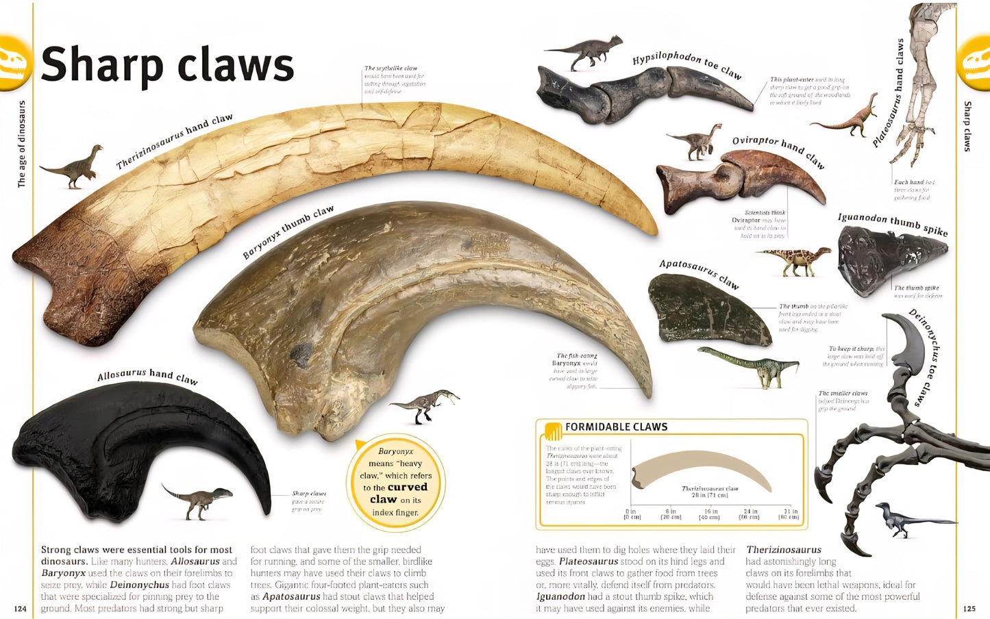 Dinosaur Study Kit
