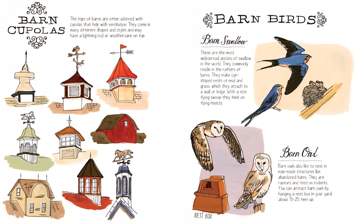 Farm Anatomy: The Curious Parts and Pieces of Country Life