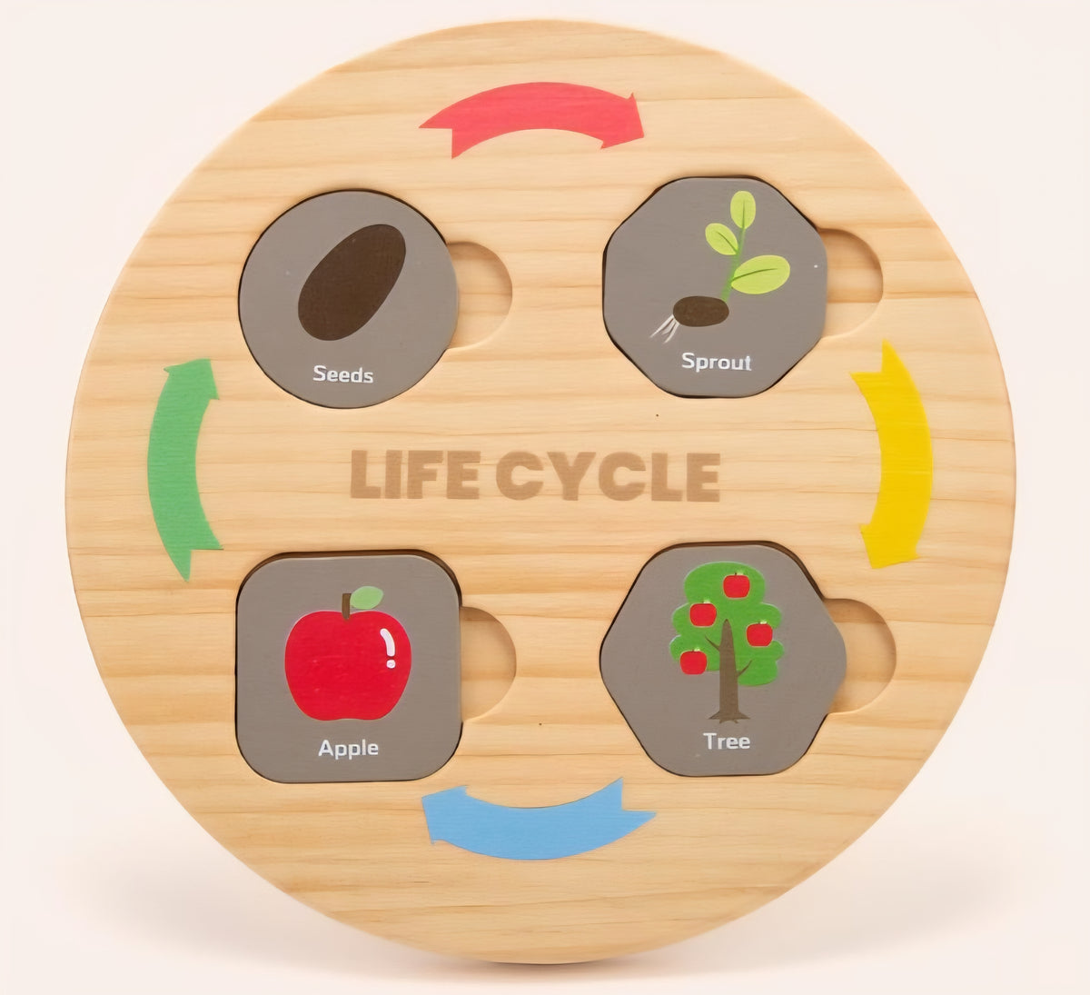 Apple Science Unit Study Kit
