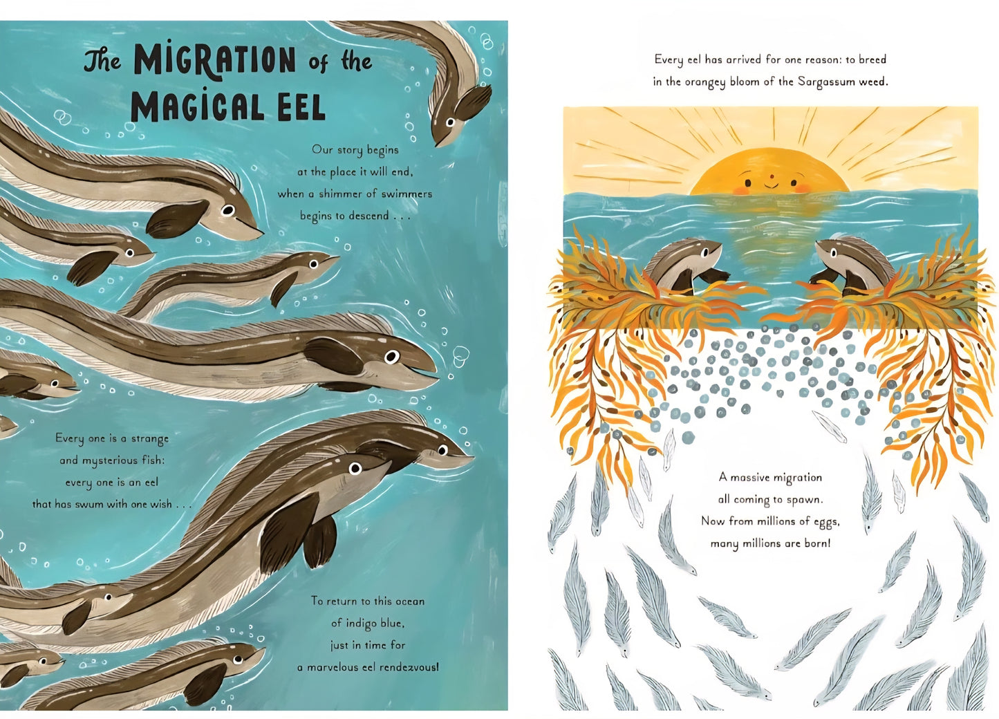 Ocean Life Book Bundle
