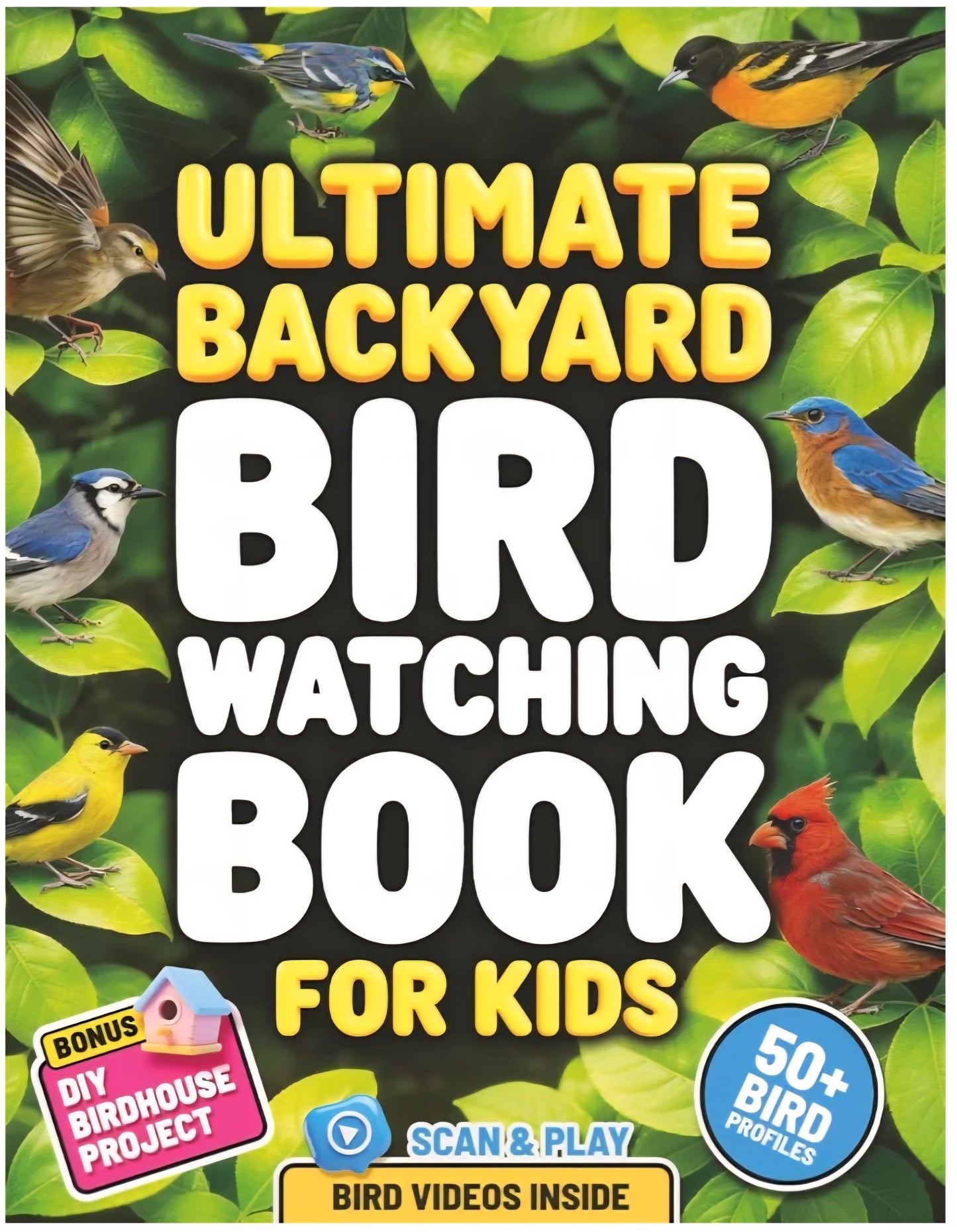 Backyard Bird Study Kit